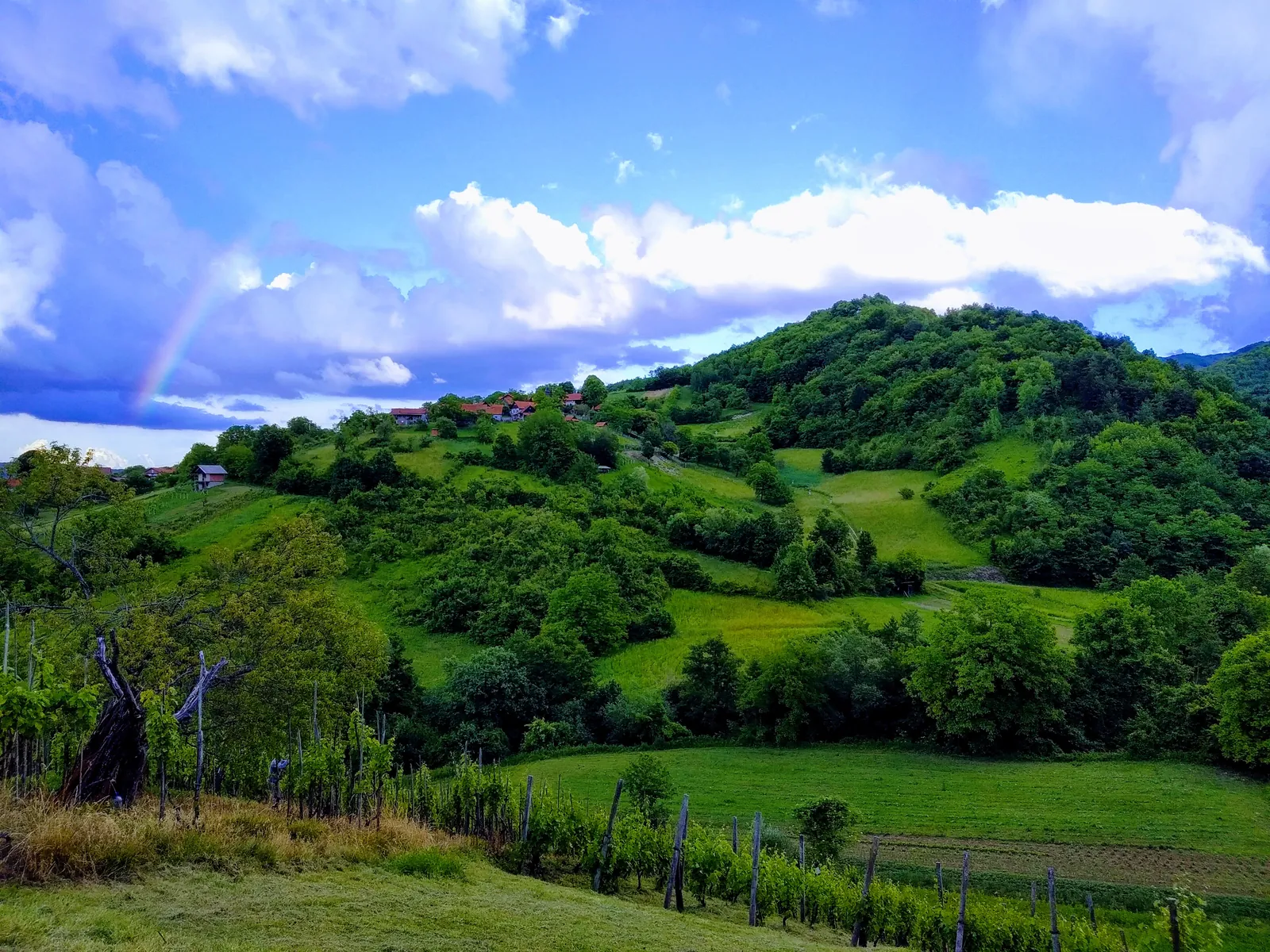 Green rolling hills in Hrvatsko Zagorje
